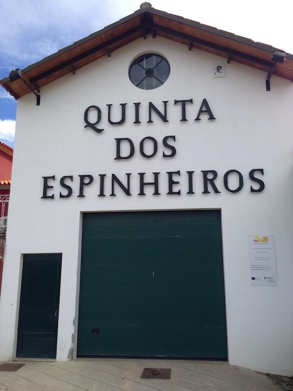 Villa Quinta Dos Espinheiros Provesende Zimmer foto