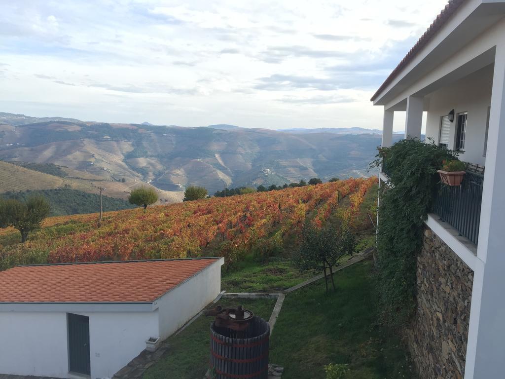 Villa Quinta Dos Espinheiros Provesende Exterior foto