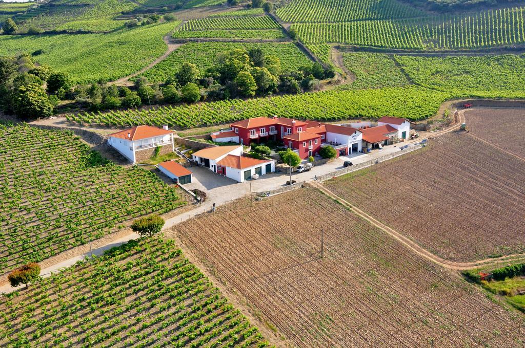 Villa Quinta Dos Espinheiros Provesende Exterior foto