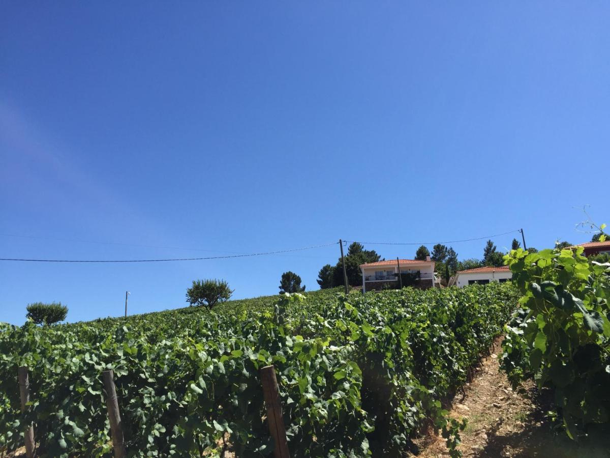 Villa Quinta Dos Espinheiros Provesende Zimmer foto