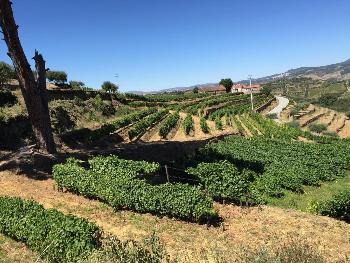 Villa Quinta Dos Espinheiros Provesende Zimmer foto